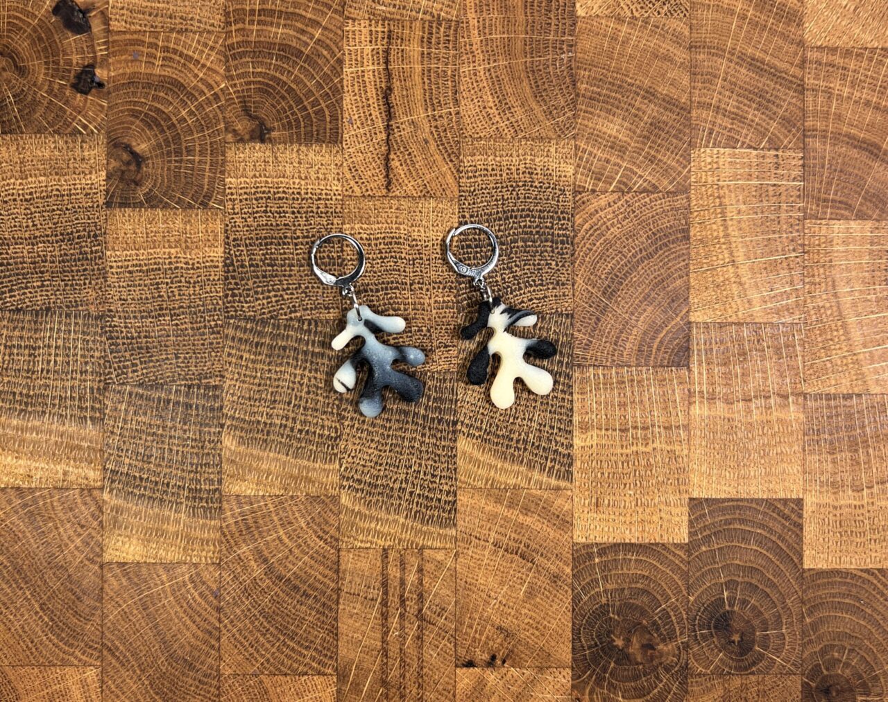 Korál želvovina - Obrázek 5