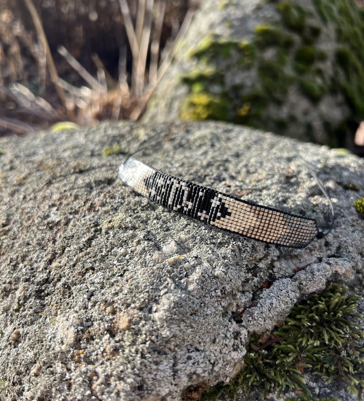 Horoskop Kozoroh silver - Obrázek 6