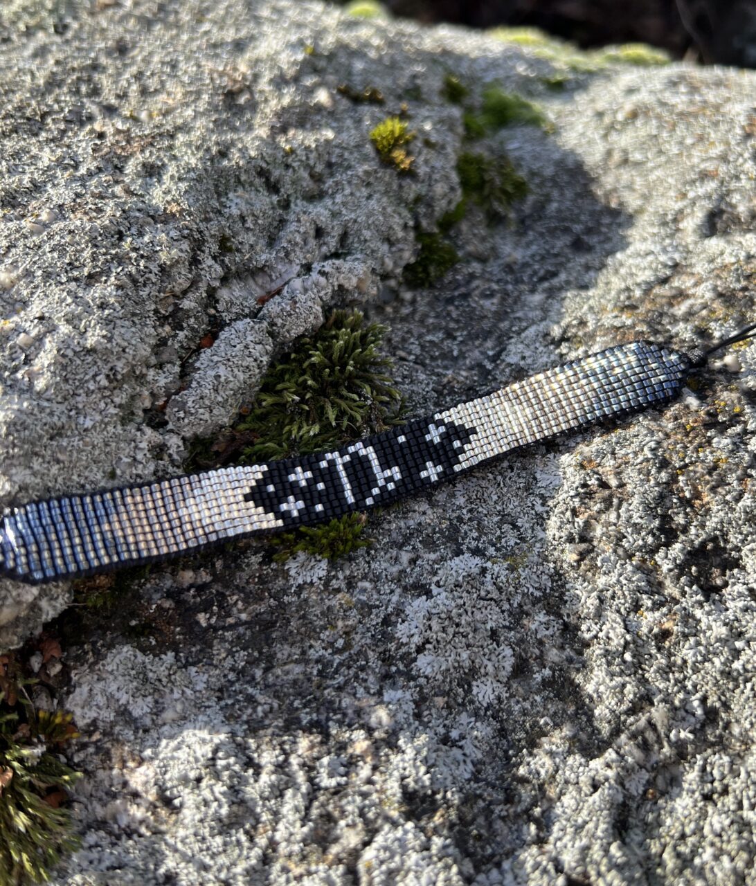 Horoskop Kozoroh silver